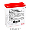 Streptococcus Haemolyt. Nos. Injeele