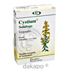 Cystium Solidago Kapseln