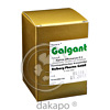 Galgant