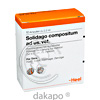 SOLIDAGO COMPOSITUM ad us. vet. Amp.