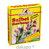 Salbei Bonbons Honig vit C