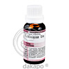 Echinacea Urt