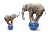 Balance im Leben: So erreiche ich meine Ziele