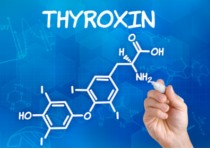 Hormone: - Der unsichtbare Treibstoff des Lebens