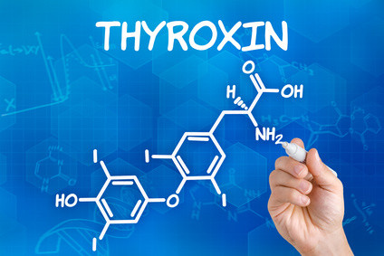 Hormone: - Der unsichtbare Treibstoff des Lebens