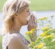 Preisvergeich Allergie und Heuschnupfen