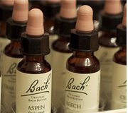 bachblten Preisvergleich